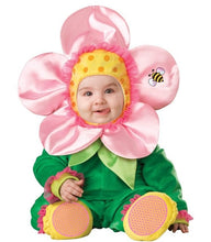 Load image into Gallery viewer, Baby Halloween Costumes Boys Girls  6M-3T